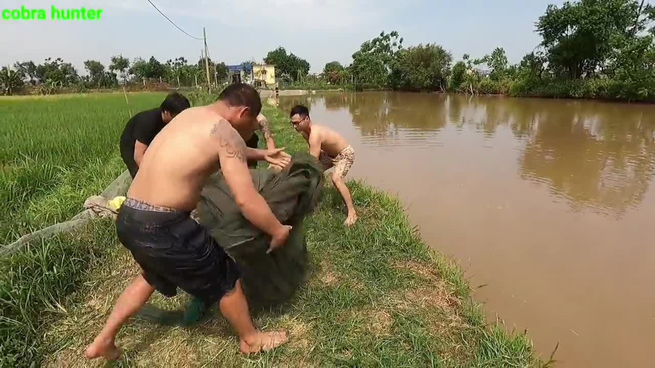 ular raksasa itu menelan seekor ayam,And the young man shouted Untuk menangkap ular raksasa ter