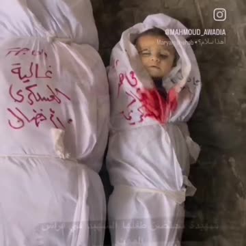 Monsters walk among us.: Israel and it's Zionists Will Suffer The Wrath of God