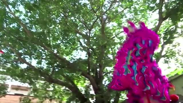 Cambodian lion dancers rehearse for Lunar New Year