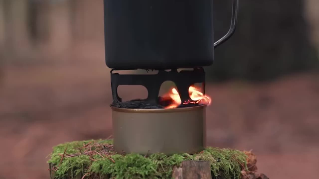 Life hack forest