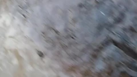 TikTok rock