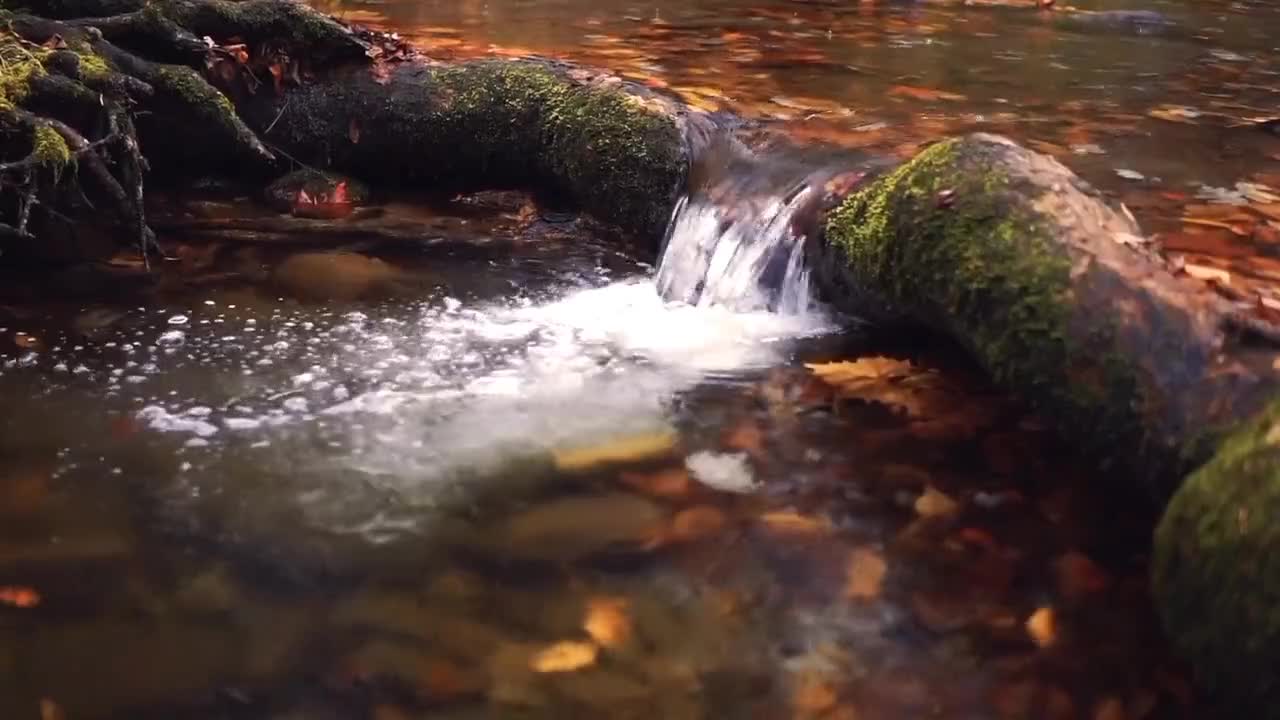 the beautiful nature