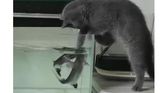 embarrassed to be bitten by a fish 🐟🐟