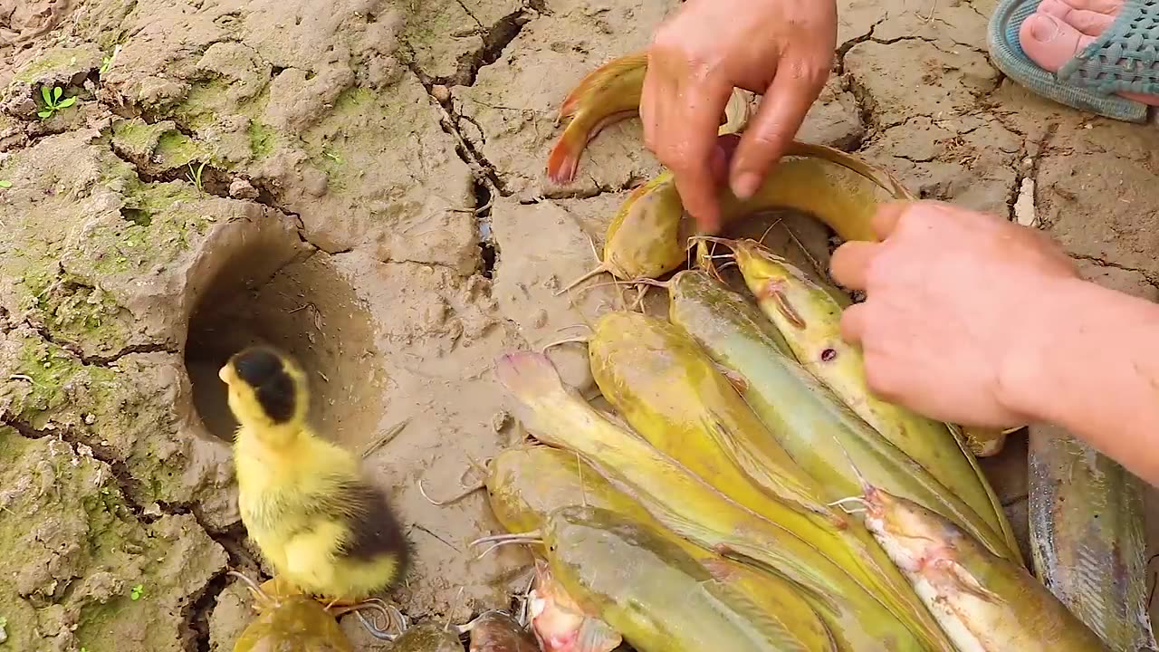 Unbelievable Fishing Technique - Use A Snake To Catch Fish In A Pit Deep In The Ground