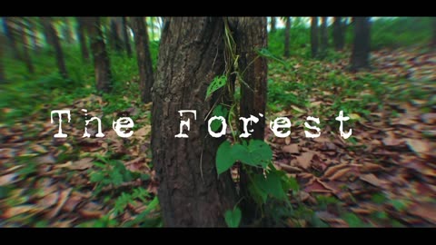 The Forest Mystery horror short video