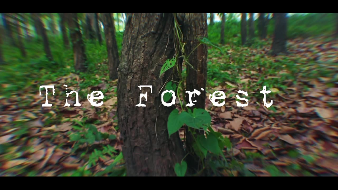 The Forest Mystery horror short video