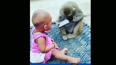 Monkey got caught snatching phone from child's hand