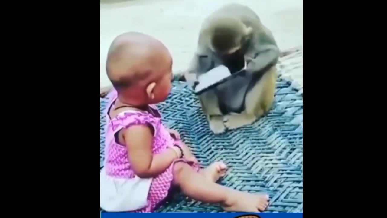 Monkey got caught snatching phone from child's hand