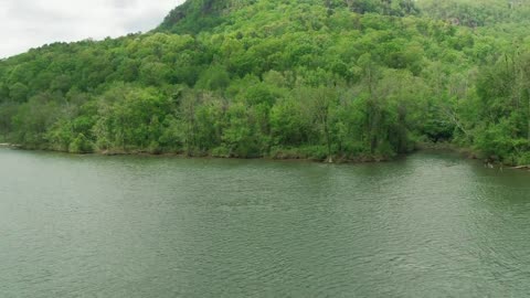 Beautiful Green Wide River