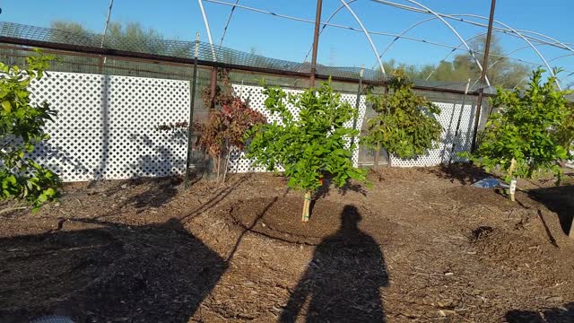 Raised Garden Bed's Part 2