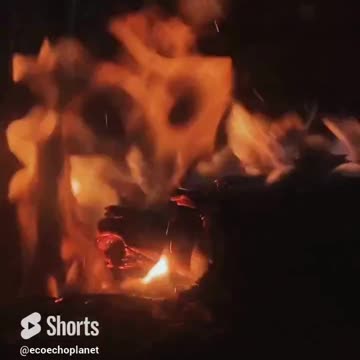 A Journey to Zen with Fire View and How Relaxing This is for Mind and Body? Vol 150 #echoplanet