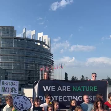 Greta Thunberg gives speech on proposed nature law during rally outside European Parliament