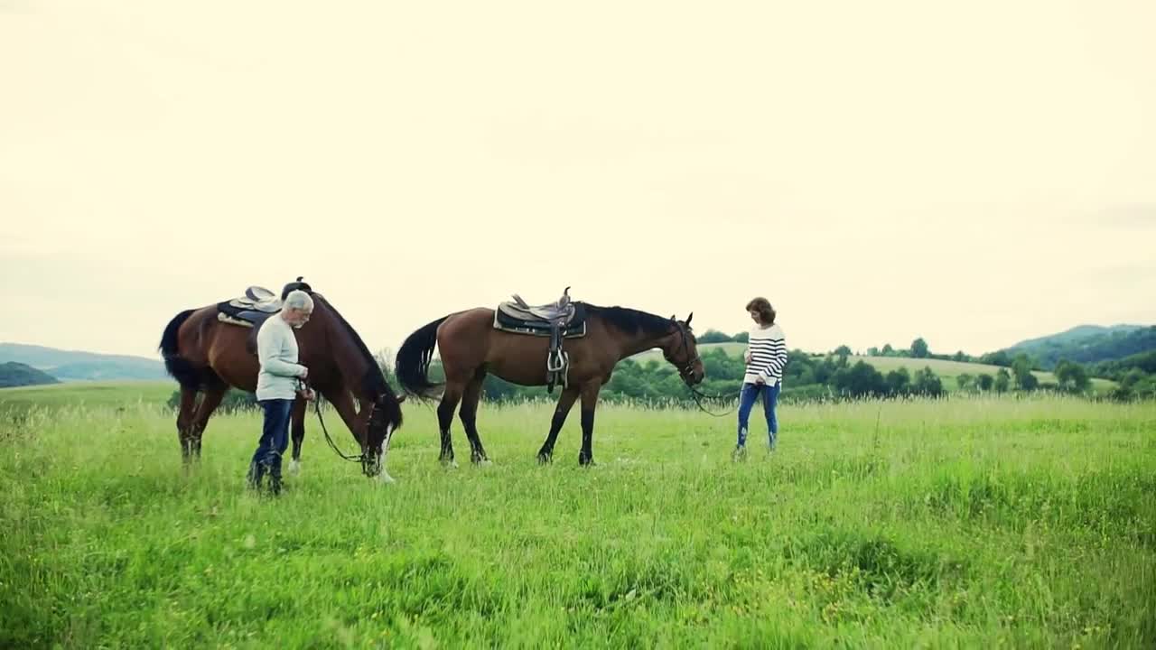 A happy senior couple holding horses grazing on a pasture