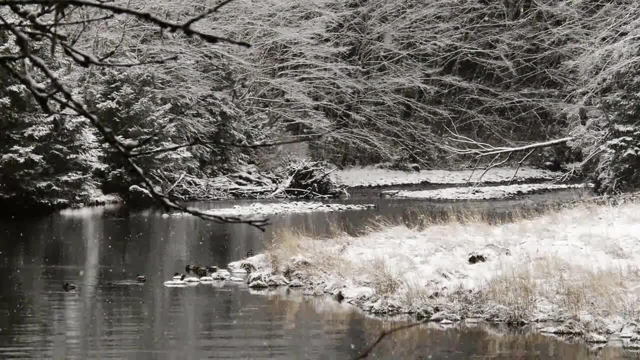 Beautiful Snow Scene