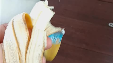 Gave him half of the banana