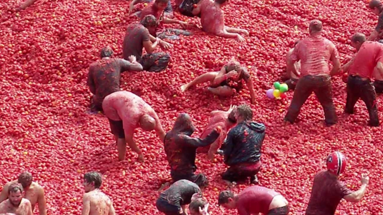 World's most famous color fastivals