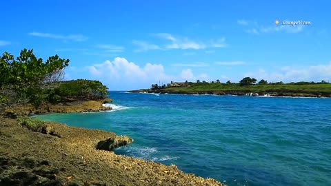 Video % with Beach Sounds - 4 Hour Long!