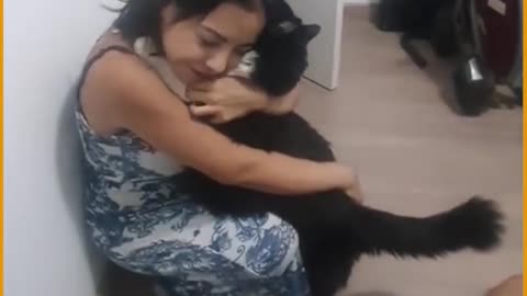 Animal lover and cat love human