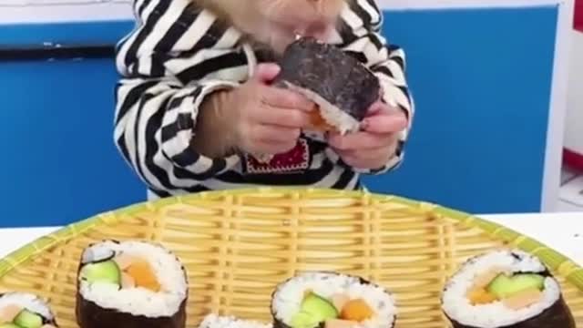 Monkey eat sushi