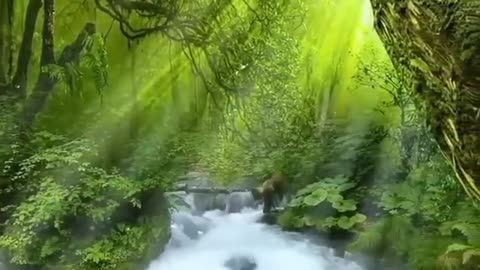 CARREGUE, Compartilhe-a Luz