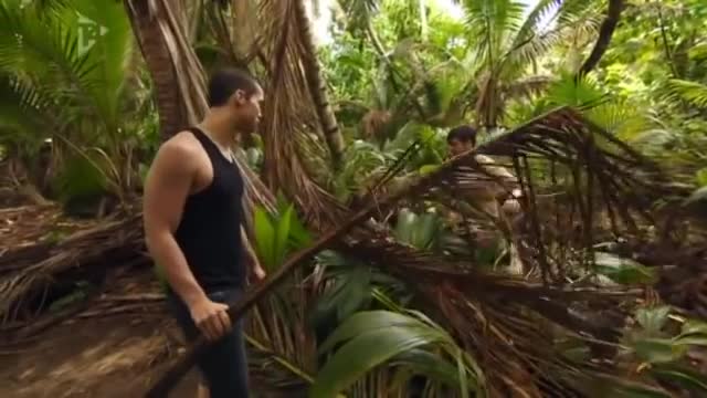 WHEN THE TATES WERE BROKEYS - Shipwrecked 2011 [PART 1]