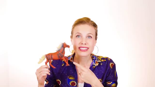 HORSE IN HEBREW