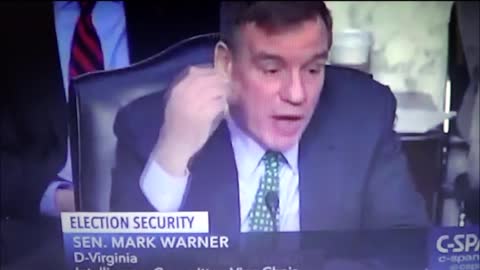 Democrats Explain How Presidential Election Was Rigged