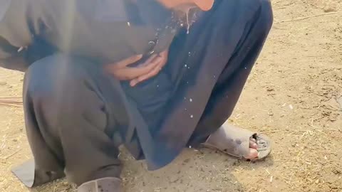 Most Funny Video on Arabic 🔥