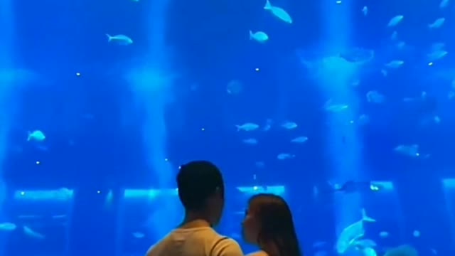 Aquarium Date with my wife