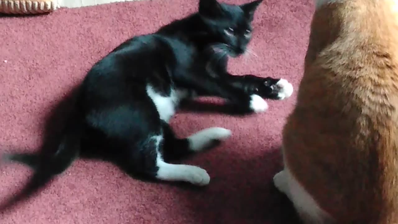 Rolling around