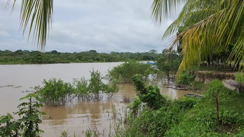 LLegada del Rapido a Aguas Negras - Ucayali Peru