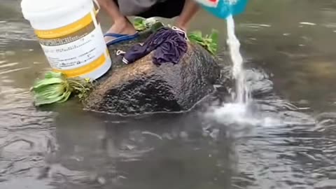 Try Not to Laugh #viral #comedyvideo #funnyvideo
