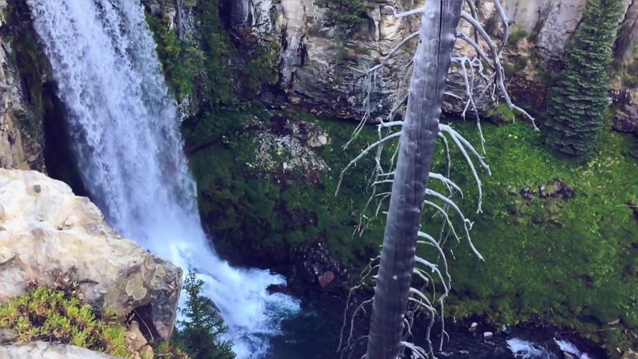 Different Types Of Animal, Bird And River Side Waterfall With Drone shot Peacefull Music