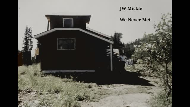 JW Mickle ~ We Never Met