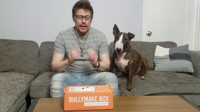 BullyMake November Unboxing