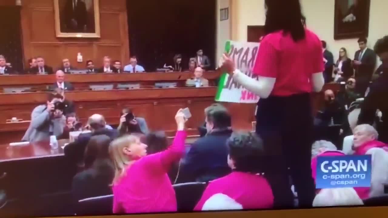 Code Pink interrupts House Foreign Affairs Committee hearing