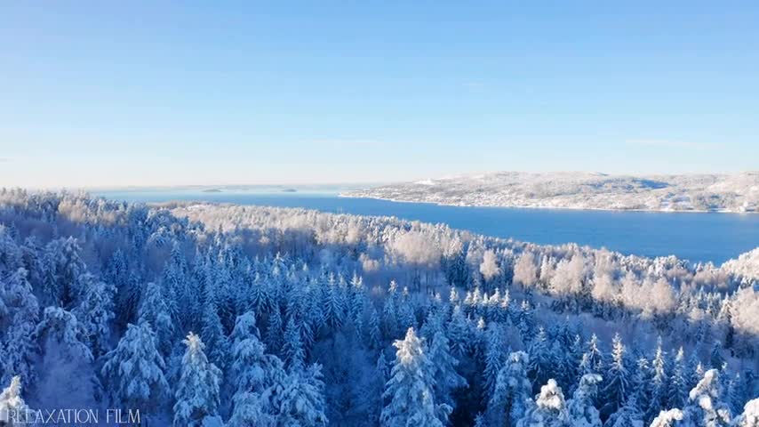 Snow Winter 4K Relaxation Film Meditation