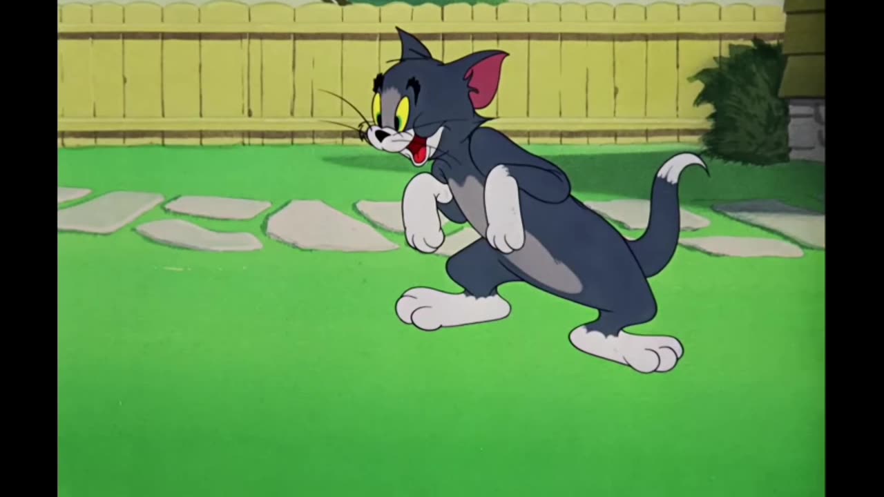 Tom & Jerry | Classic Cartoon Compil44