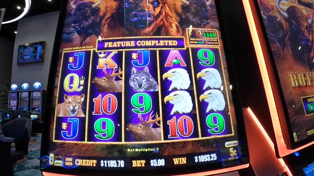 Buffalo Cash Slot Machine Play With Fun Bonuses And Jackpots!