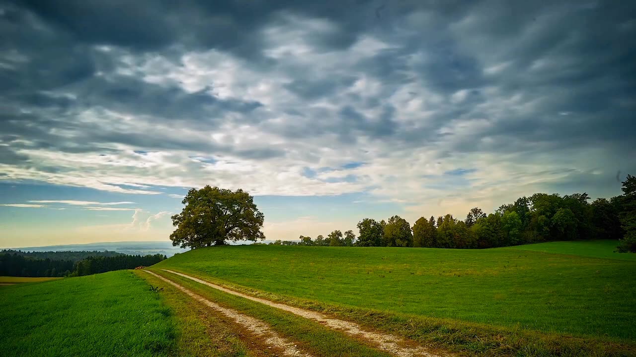 Tree Clouds & Greenry - Free stock footage - Free HD Videos - no copyright