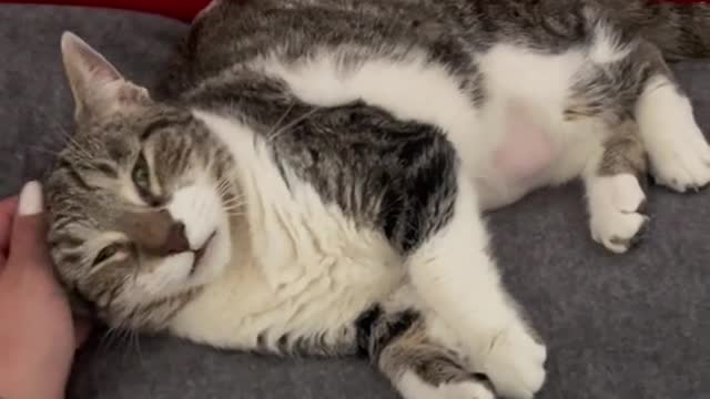 When you're so relaxed, you forget to tuck in your belly fat