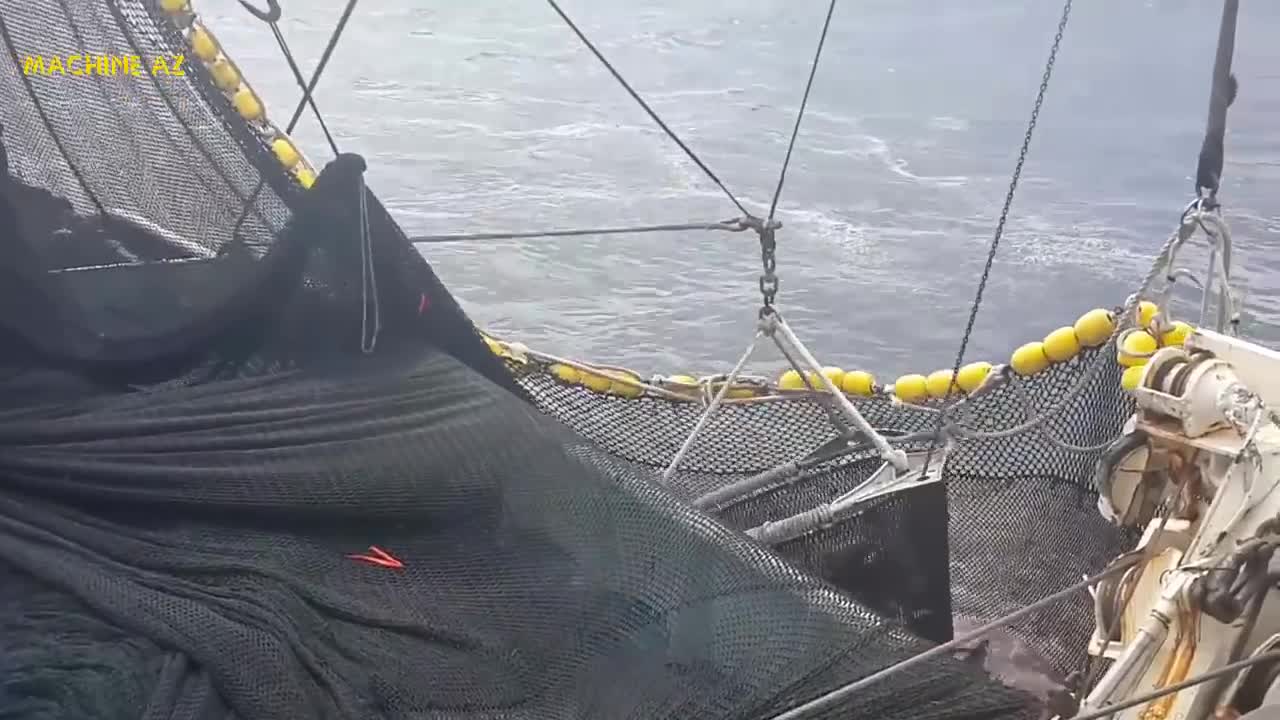 Catching Great Tuna Which You Will Not Believe From The Huge Number Of Fish