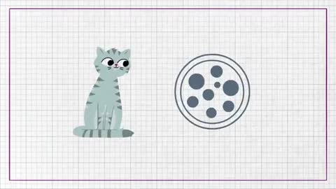Can Cats Eat Human Food_ - Whiskas K.I.T._2