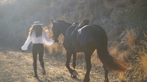 Back view wide shot of slim confident woman and purebred horse strolling in sunshine