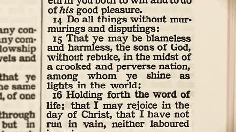 the book of revelations chapter 18