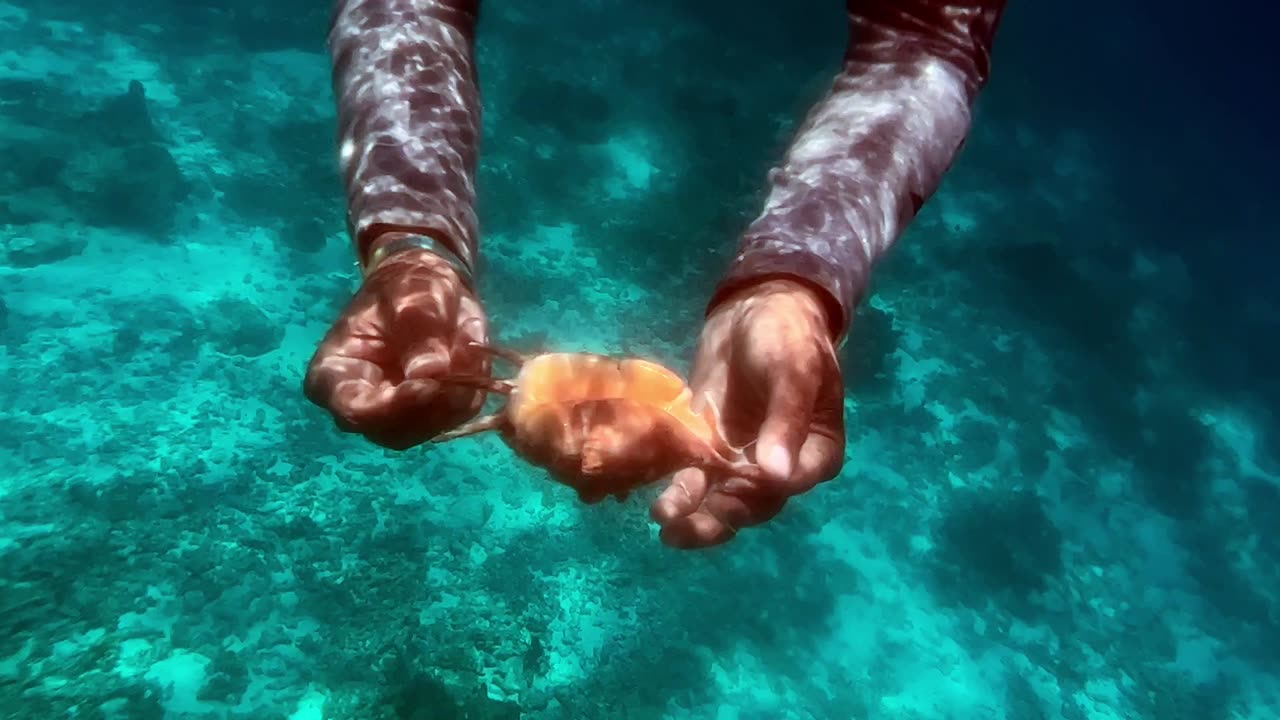 Jeep Island Snorkeling Chuuk Lagoon