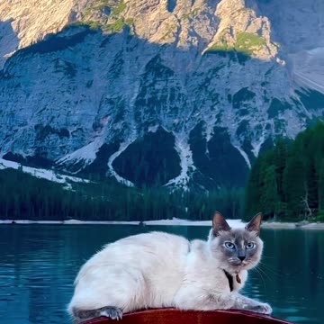 Attractive Lake Braes in the Dolomites of South Tyrol in Italy #naturalbeauty