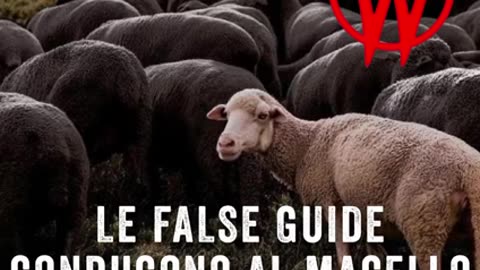 LE FALSE GUIDE CHE VI PROPONGONO SOLUZIONI