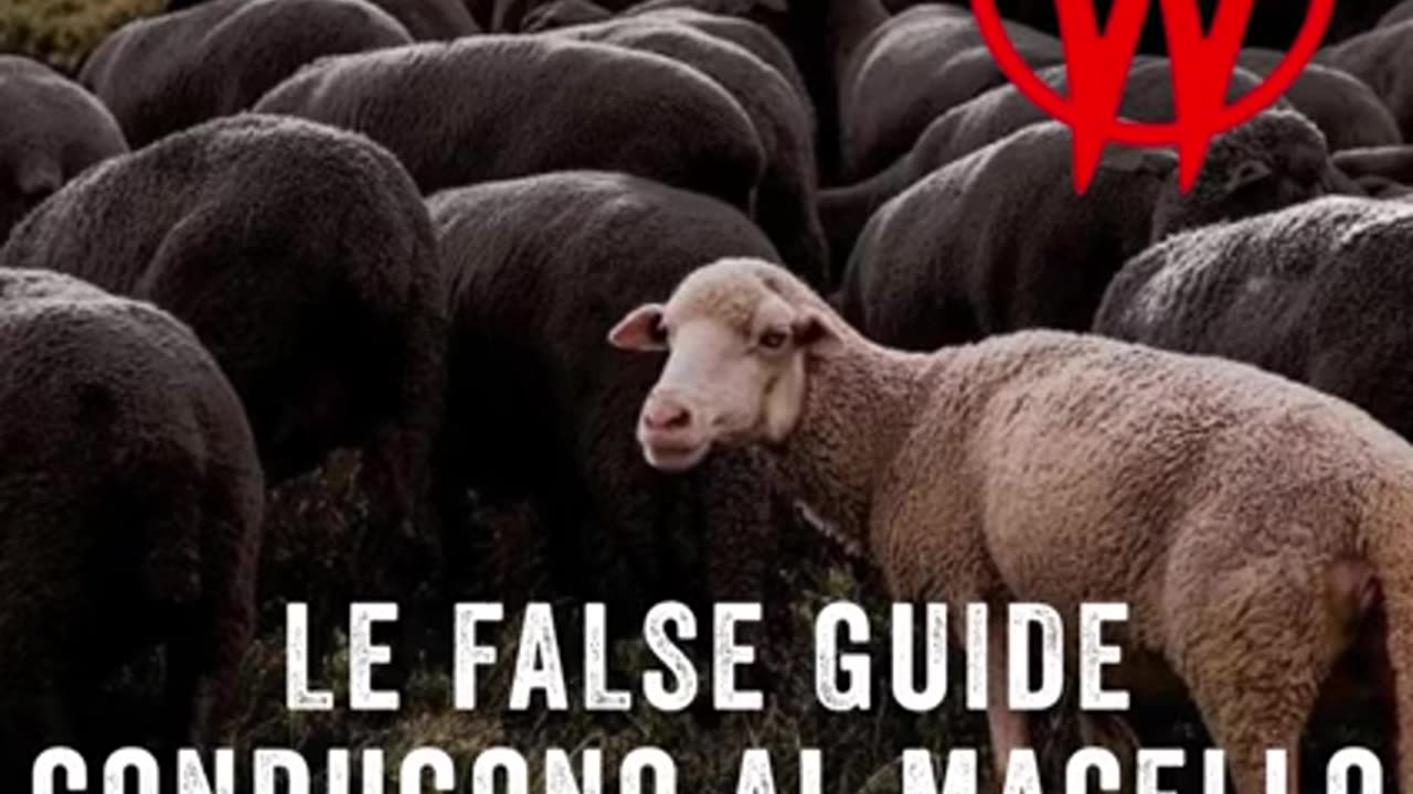 LE FALSE GUIDE CHE VI PROPONGONO SOLUZIONI