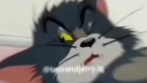 Tom and jary funny video
